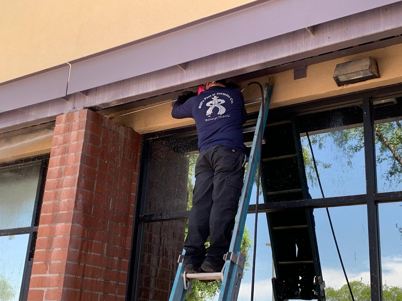 Pigeon Control Phoenix project